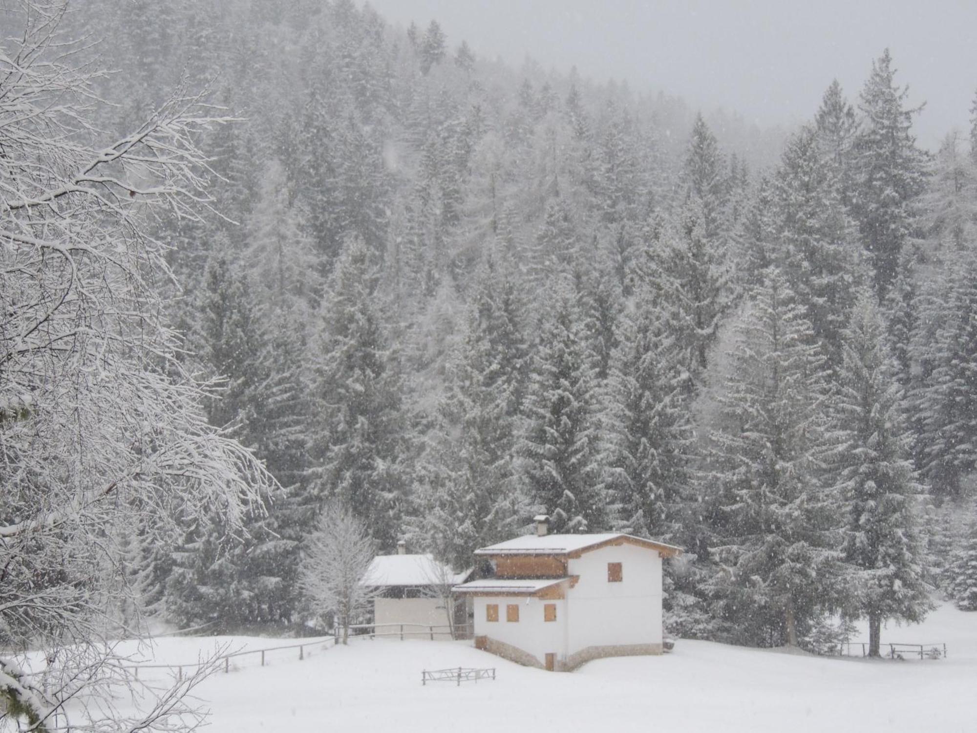 Il Falchetto Sarnonico Esterno foto