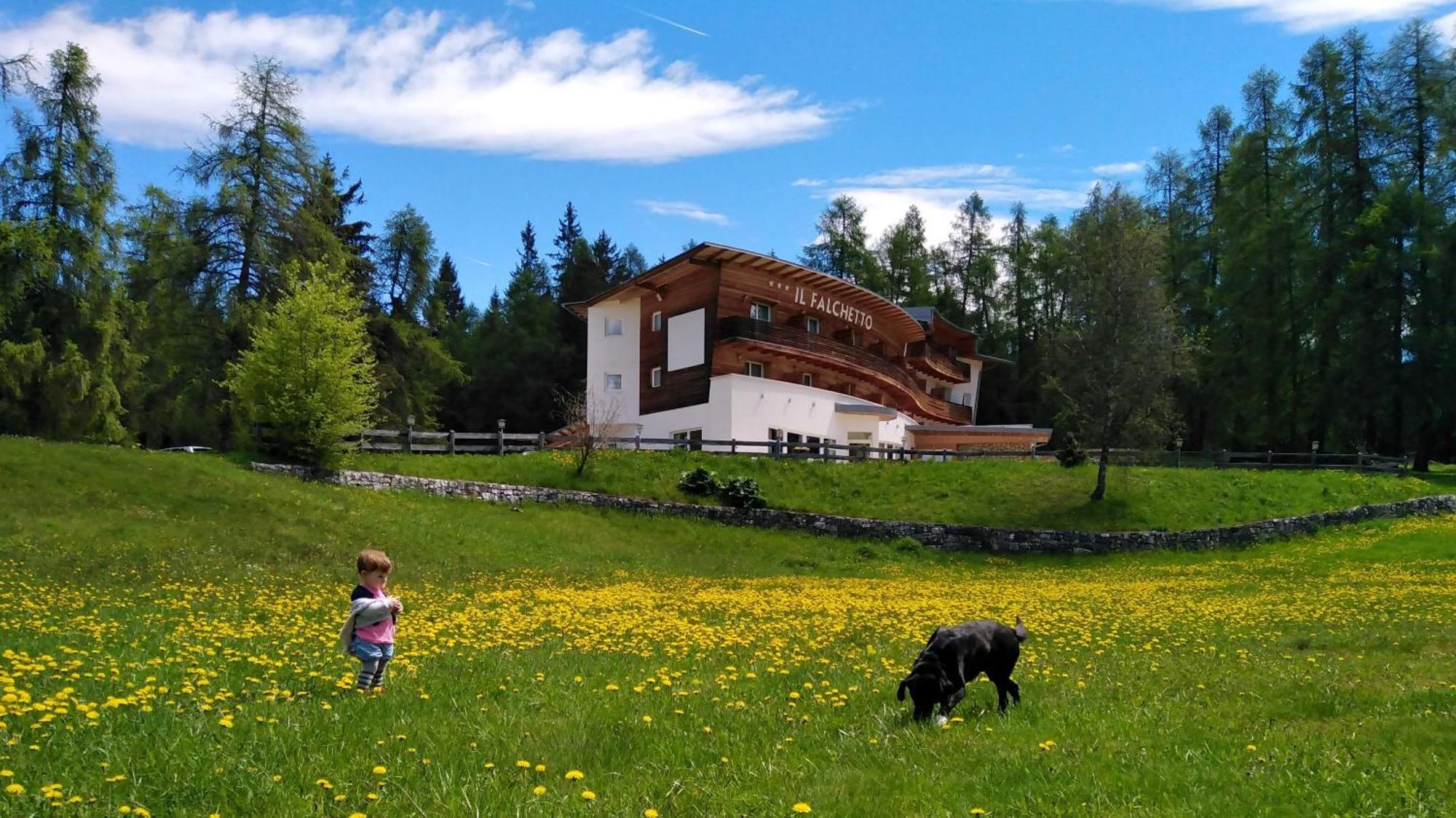 Il Falchetto Sarnonico Esterno foto